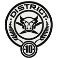 District 10 Hunger games logo machine embroidery design