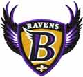 Baltimore Ravens alternative logo embroidery design
