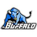 Buffalo Bulls logo machine embroidery design