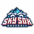 Sky Sox Logo machine embroidery design
