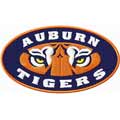 Tiger Auburn Alabama logo