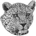free leopard machine embroidery design