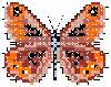free butterfly cross machine embroidery