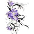 big iris flower