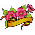 Aplle Blossom flower with banner