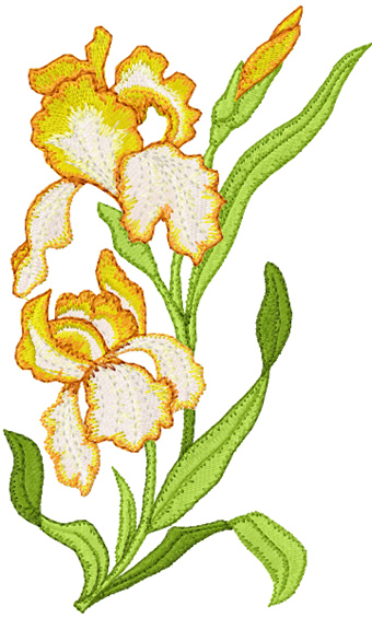 Orchids free machine embroidery design