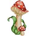 Amanita small mushroom