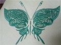 Fantastic butterfly machine embroidery design pillow