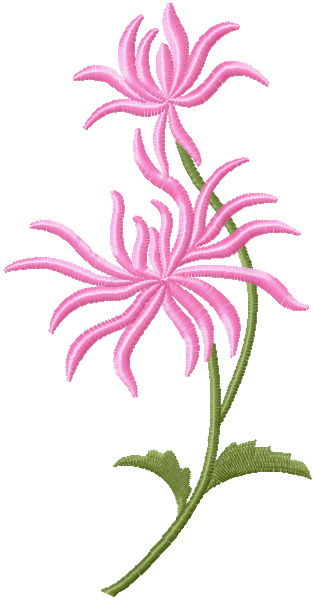 Chrysanthemum free embroidery design