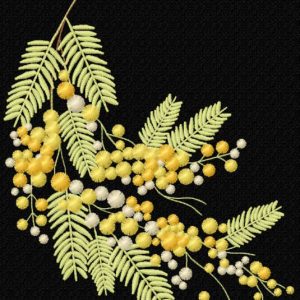 Acacia dealbata branch embroidery design
