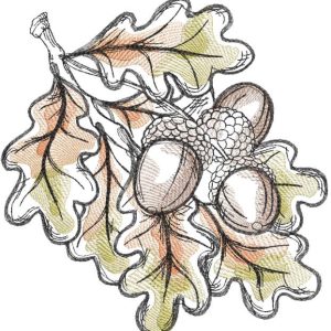 Acorns fall colors embroidery design