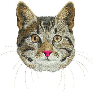 Ameican Shorthair Cat embroidery design