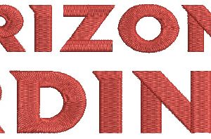 Arizona Cardinals wordmark logo embroidery design