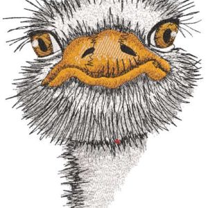 Baby Ostrich embroidery design