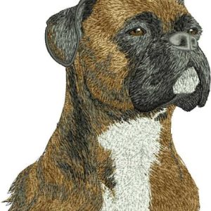 Boxer dog embroidery design