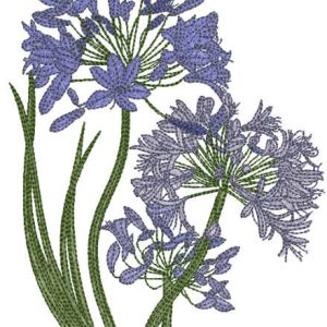 Centaurea cyanus field treasure embroidery design