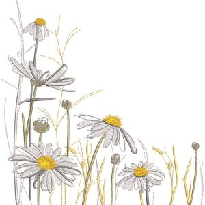 Chamomile meadow embroidery design