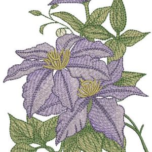 Clematis minister bouquet embroidery design