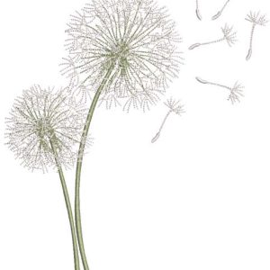 Dandelions in the wind embroidery design