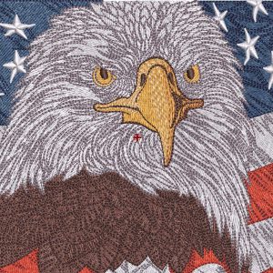 Eagle and American flag embroidery design