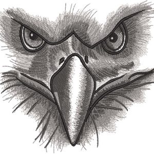 Eagle gaze embroidery design