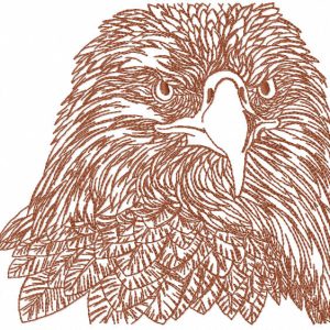 Eagle head sketch embroidery design