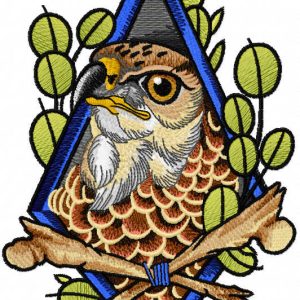 Eagle in frame embroidery design