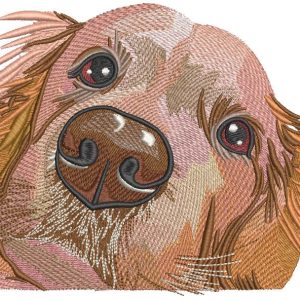 Golden retriever muzzle embroidery design