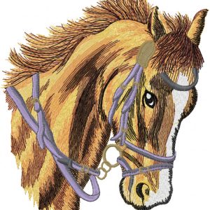 Head of a tired horse embroidery design