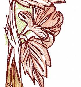 Light flower sketch embroidery design