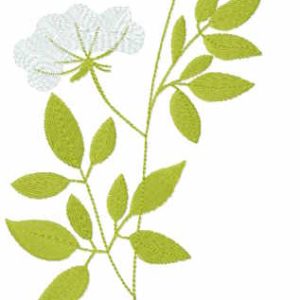 Phlox paniculata embroidery design