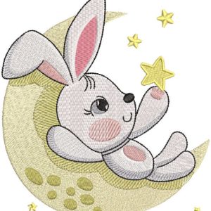 Playing with the stars embroidery design
