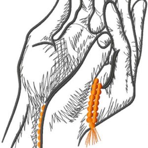 Praying hands embroidery design