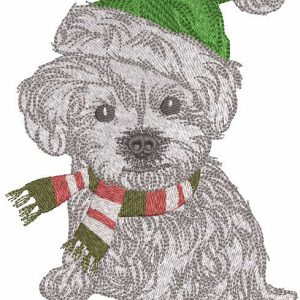 Ready for a winter walk embroidery design