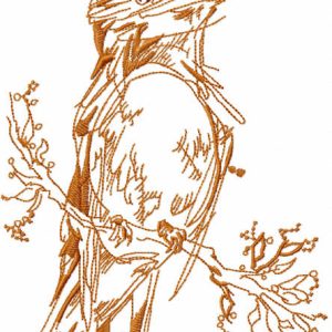 Robin sketch embroidery design
