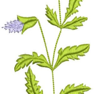 Viola tricolor embroidery design