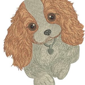 Adorable Cocker Spaniel puppy embroidery design