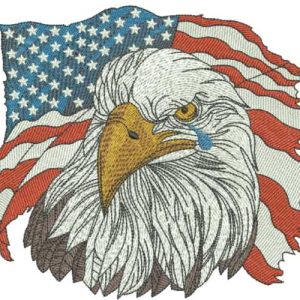 American Eagle 7 embroidery design