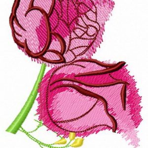 Aroma of roses embroidery design