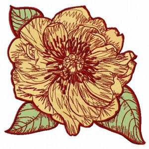 Big rose flowers 4 embroidery design