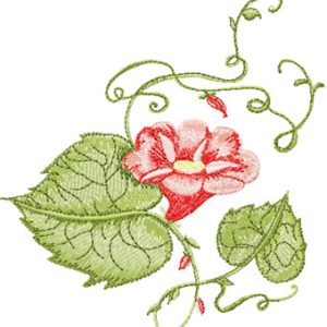 Bindweed  embroidery design