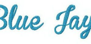 Blue Jays wordmark logo embroidery design