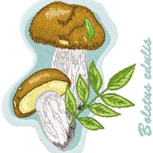 Boletus Edulis embroidery design