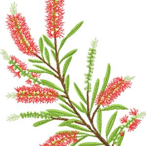 Bottlebrush  embroidery design