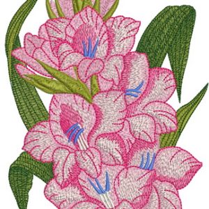 Bouquet of gladioluses embroidery design