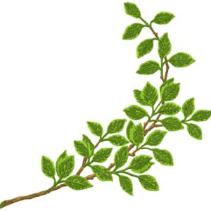 Big branch embroidery design
