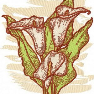 Calla lilies embroidery design