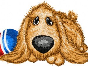 Can Play? embroidery design