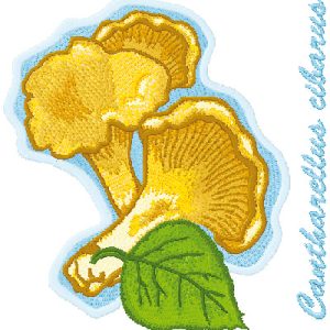 Cantharellus Cibarius embroidery design
