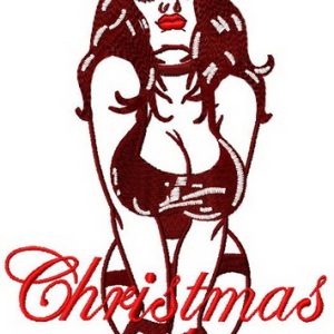 Christmas wishes 2 embroidery design